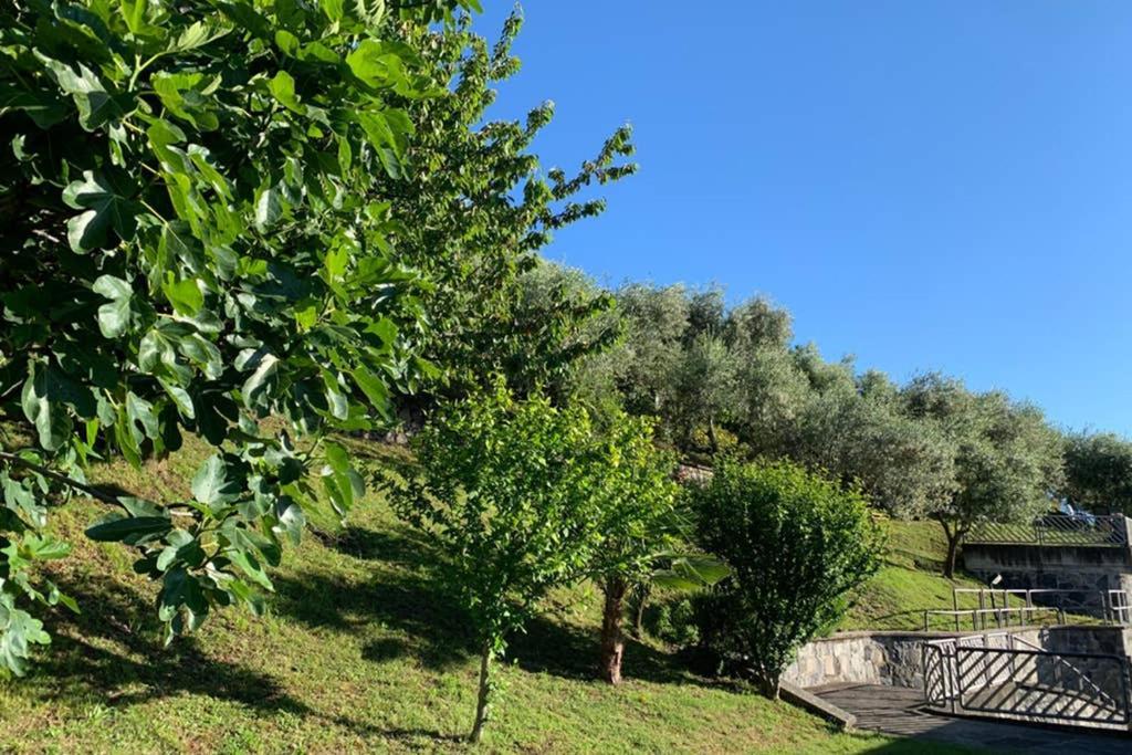 Cozy House On Iseo Lake Fonteno Exterior foto